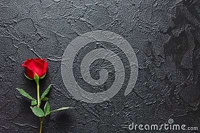 Red rose on a black background, stone. A condolence card. Empty space for emotional, quotes or sayings. The view from the top Stock Photo