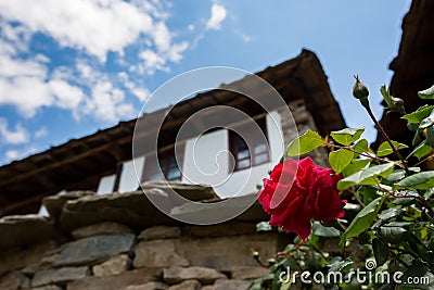 Red rose blossom with blurred Bulgarian house Stock Photo