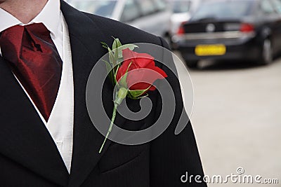 Red rose button hole flower Stock Photo