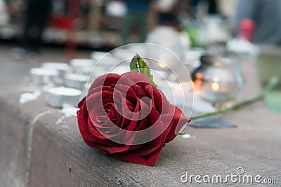 red rose and candles in the street in memory of the professor of history Samuel Paty murdered by an islamist in the Stock Photo