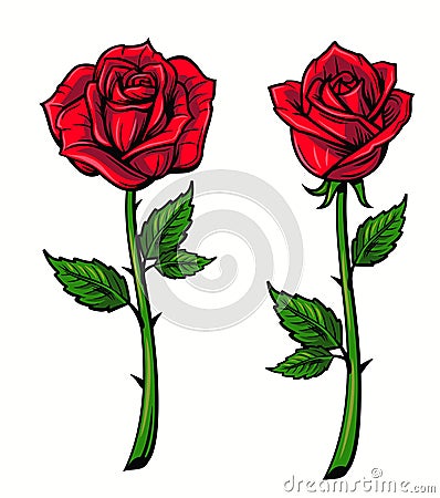Red rose cartoon Vector Illustration