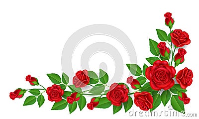 Red rose decoration for corner Vector Illustration