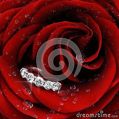 Red rose with diamond ring closeup Stock Photo