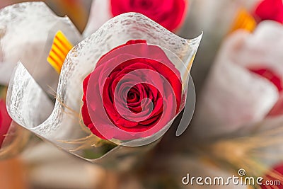 Red rose of the dyad of Sant Jordi, typical festival of Catalonia Stock Photo