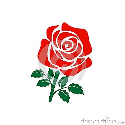 Red rose flower vector illustration Vector Illustration