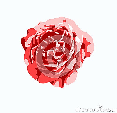 Red rose flower vector Vector Illustration