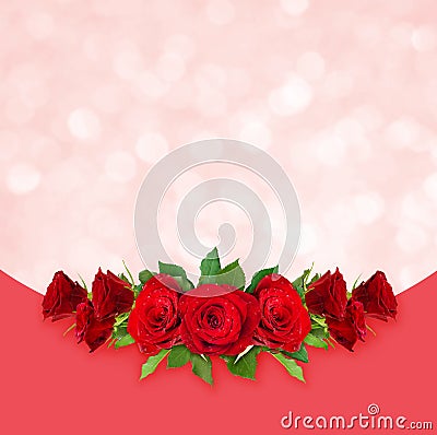 Red rose flowers background Stock Photo