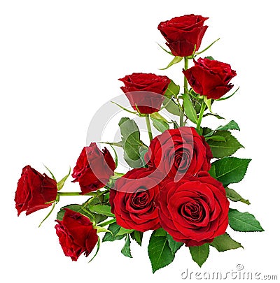 Red rose flowers with leaves in a corner arrangement Stock Photo