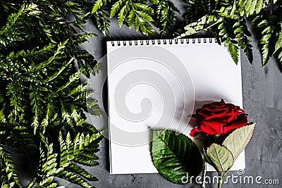 Red rose and green leaves lying on gray concrete backgroung. Flat lay. Top view Stock Photo