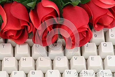 Red rose and keyboard Stock Photo