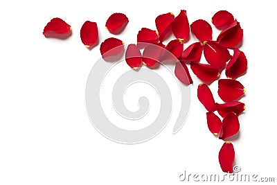 Red rose petal border Stock Photo