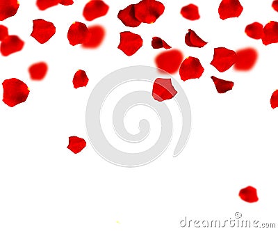 Red Rose Petals Stock Photo