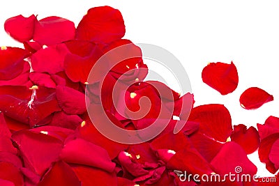 Red rose petals Stock Photo