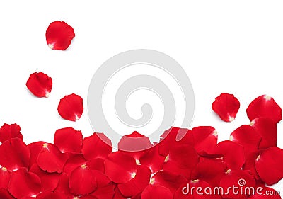Red Rose Petals Stock Photo