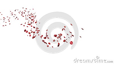 Red rose petals floating in curve flow path on white background with Clipping Path, 3D Illustration. Stock Photo