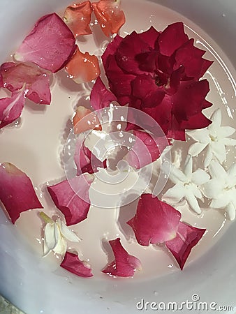 Red rose petals and jasmines floating in white bowl Stock Photo