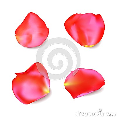 Red rose petals set. Realistic vector Vector Illustration