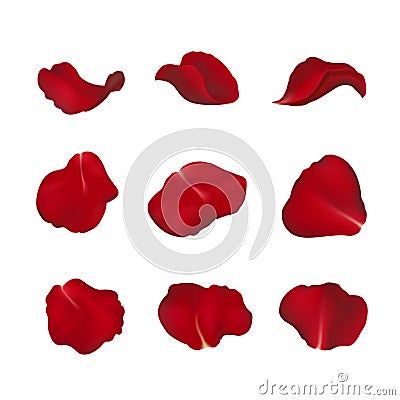 Red rose petals on white Stock Photo