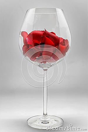 Red rose petals in wine glass on grey background. Romantic happy valentines day greeting card, women`s day, wedding invitation Stock Photo