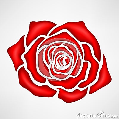 Red Rose realistic concept Vector Illustration