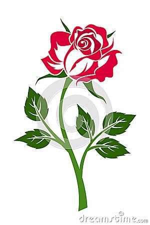 Red rose with stem. Vector Illustration