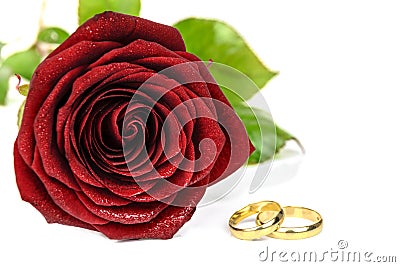 Red rose and two wedding rings Stock Photo