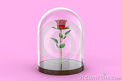 Red Rose Under Glass Dome - Beauty and the Beast Concept 3D Illustration Cartoon Illustration