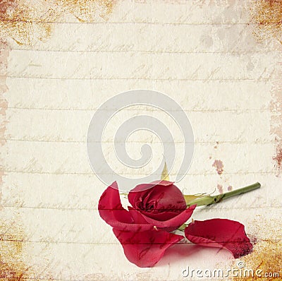 Red rose vintage card Stock Photo