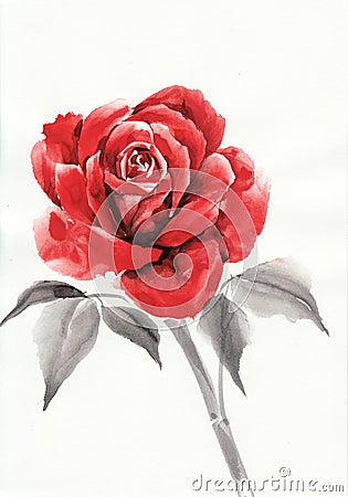 Red Rose Watercolor Painting Stock Illustration - Image: 66212283