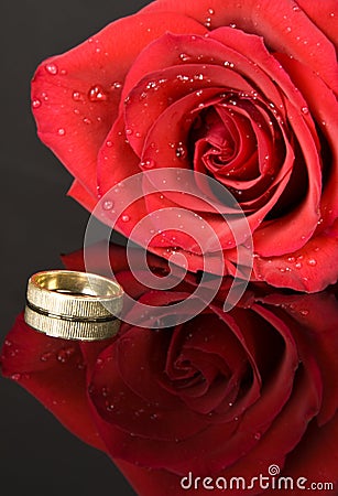 Red Rose and Wedding Ring Stock Photo