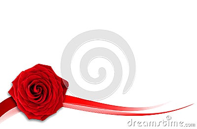 Red rose on the white background Stock Photo