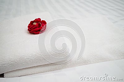 Red rose on white towel Stock Photo