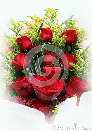 Red roses Stock Photo