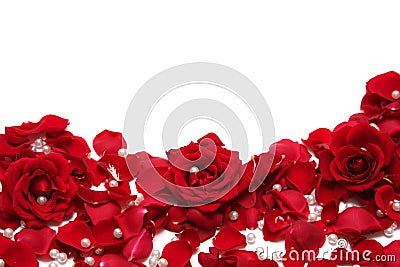 Red roses Stock Photo