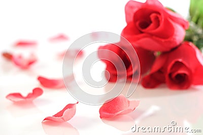 Red roses Stock Photo