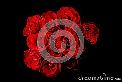 Red Roses Stock Photo