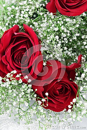 Red Roses and Babys Breath Stock Photo