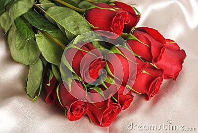 Red Roses on Beige Satin Stock Photo