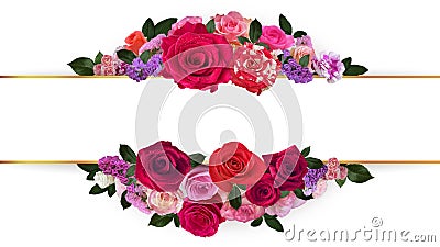 Red roses border frame. Fresh and natural Flowers banner in white background Stock Photo