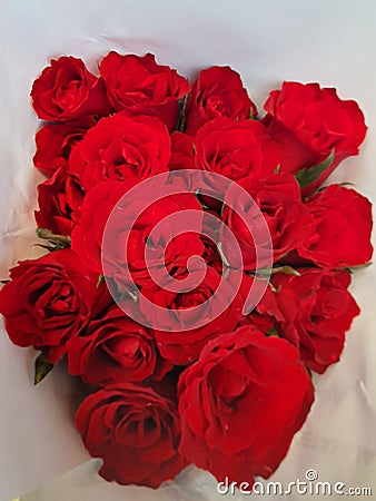 Beautiful red roses bouquet Stock Photo