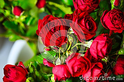 Red Roses Bouquet in Vase - Stunning Floral Display With Copy Space Stock Photo