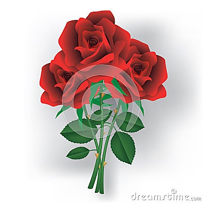 Red roses Vector Illustration