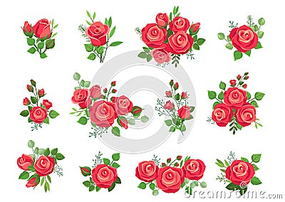 Red roses bouquets. Rose collection, bouquet with flowers and green branches. Wedding decor, isolated floral Vector Illustration