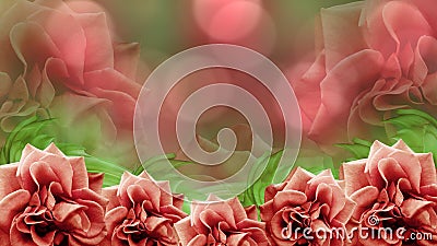 Red roses flowers on blurred red-green bokeh background. floral background. colored wallpaper for design. Stock Photo