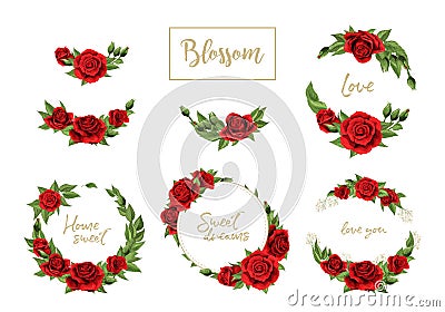 Red roses hand drawn illustration elements colored set isolated on white Vector Illustration
