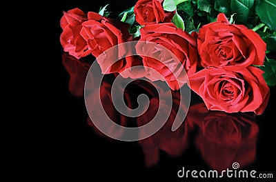 Red Roses Reflected Stock Photo