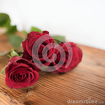 Red roses symbolic for valentines day Stock Photo