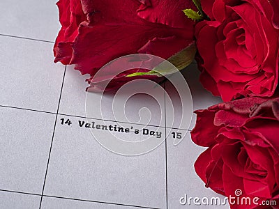 Red roses on valentine Stock Photo