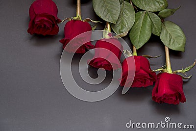 Holidays eCards birthday. Valentine`s day red roses. Stock Photo