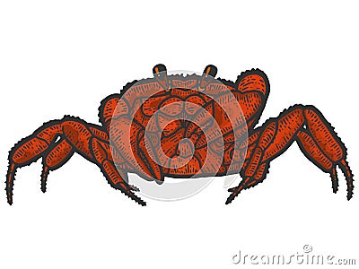 Red rthropoda crab. Sketch scratch board imitation color. Cartoon Illustration